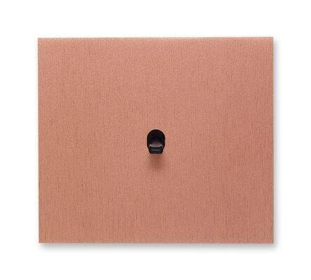 Włącznik Vectis pojedynczy Uniwersalny, krzyżowy, dzwonkowy (monostabilny), ściemniacz Vectis