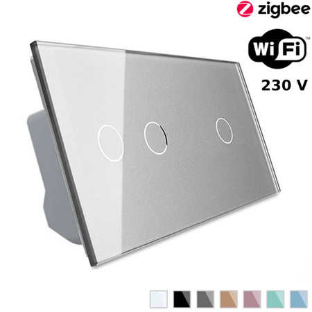 Podwójny i pojedynczy włącznik dotykowy EC Wi-Fi z panelem szklanym srebrnym (VL-C7012EC-64) Livolo