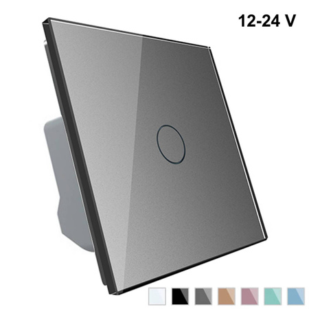 Włącznik dotykowy niskonapięciowy 12V z srebrnym panelem szklanym (VL-C701C-64) Livolo