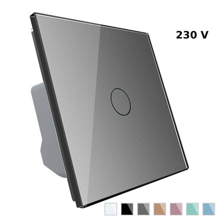 Włącznik dotykowy z eleganckim srebrnym panelem szklanym (VL-C701-64) LIVOLO