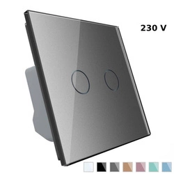 Podwójny włącznik dotykowy ze srebrnym panelem szklanym (VL-C702-64) Livolo