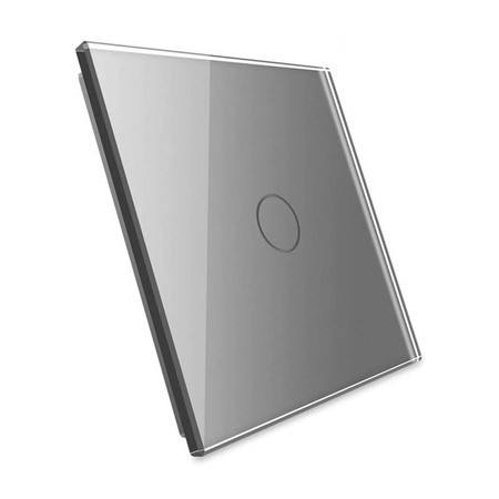 Srebrny panel szklany włącznika dotykowego (701-64) - Livolo