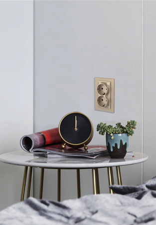 Podwójne gniazdko elektryczne do pojedynczej puszki (VL-71EU2-62) - Livolo