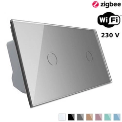 Włącznik dotykowy Wi-Fi z podwójnym panelem szklanym srebrnym (VL-C7011EC-64) Livolo