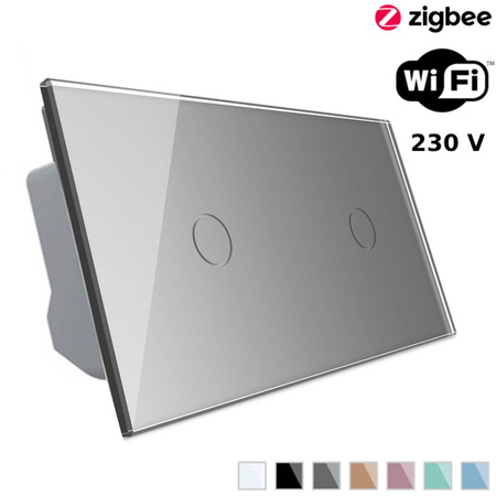 Włącznik dotykowy Wi-Fi z podwójnym panelem szklanym srebrnym (VL-C7011EC-64) Livolo